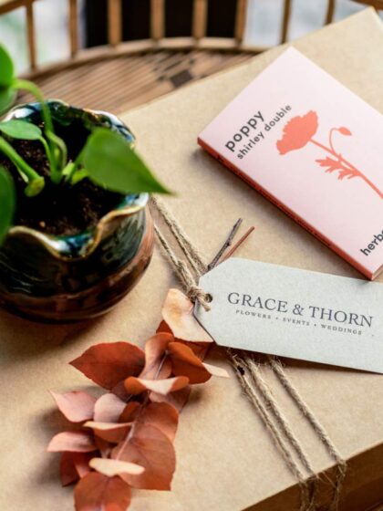 Sow Your Seed Box