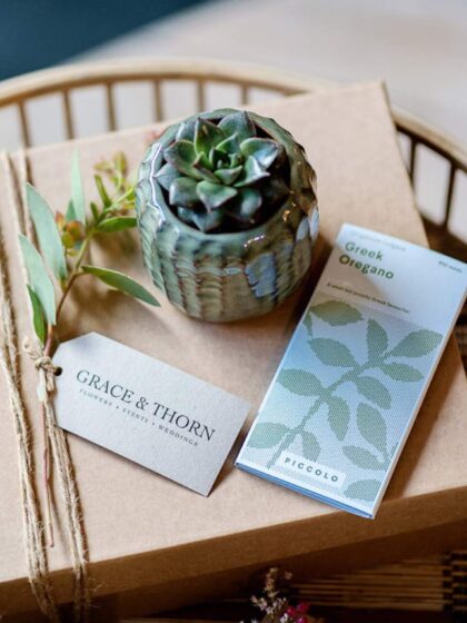 Green Box